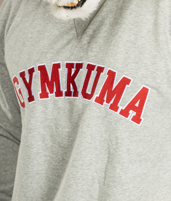 Varsity Sweatshirt in Athletic Gray, view 2 — GYMKUMA