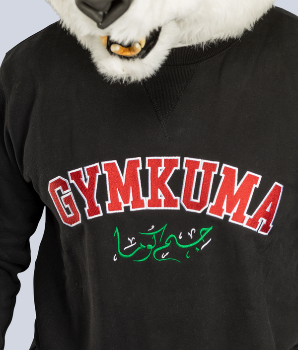 Varsity Sweatshirt in Flag, second fit, view 2 — GYMKUMA